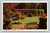 Butchart's Gardens Victoria Canada postcard by The Coast Publishing Co.