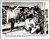 Budweiser Cowboy Six Pack rodeo promotional group photograph with identified riders