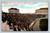 Syracuse-Colgate Football Game at Syracuse University Stadium