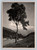 Bergsommer mountain summer scene postcard from Bad Reichenhall, Germany