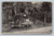 The Old Chestnut Tree and Cinder Path in Grand View, Wernersville, PA postcard