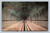 West Bound Tube Detroit River Tunnel Subaqueous Section with Michigan Central trains