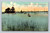 Detroit Yacht Club building on Belle Isle Detroit Michigan postcard