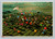 Mass ascension of hot air balloons at Albuquerque Balloon Fiesta in New Mexico