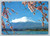 Mt. Fuji and Cherry Blossoms as viewed from Kawaguchi Lake Japan postcard