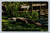 Largest alligator in captivity at California Alligator Farm Los Angeles