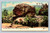 Rip Van Winkle Rock Catskill Mountains New York vintage postcard