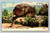 Rip Van Winkle Rock in the Catskill Mountains vintage postcard