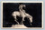 End of the Trail statue postcard image