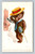 Casino postcard by The Rotograph Co., N.Y.