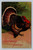 Thanksgiving Greetings postcard printed in Germany with US Franklin stamp