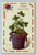 Heartiest Congratulations greeting postcard printed in Germany with 1911 SYR postmark