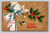Merry Christmas greeting postcard with early 20th century stamp box