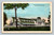 Golf and Country Club Nashville Tennessee Vintage Postcard