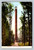 Watertower near Trenton Falls New York Vintage Postcard