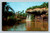 Adventureland boat ride jungle scene at Disneyland Anaheim California postcard