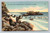 Seal Rocks Catalina Island California postcard by Tichnor Art Company