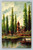 Xochimilco scene postcard by Fred Liebig showing canals and boats in Mexico City