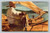 Typical fisherman of Lake Pátzcuaro in Patzcuaro Mexico postcard