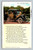 Humorous verse postcard about winter camping in Lake Worth Florida
