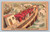 Niagara Falls seen from the steamer Rubber Neck postcard by The Simplicity Co.