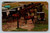 Amish horse-drawn rigs on market day in Berrien Center Michigan postcard