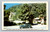 Main Entrance Watkins Glen State Park Finger Lakes NY postcard by Arthur H. Richards