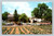The Amish Farm & House replica with farm animals, water wheels, buggies, and windmill near Lancaster PA