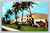 Business section through the coconut palms Stuart Florida postcard