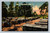 Trailer camp in Florida postcard by Tichnor Bros.