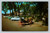 Free parking space for horse and buggy in Lebanon New Hampshire postcard