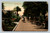 The Trail in front of the Beach Club Palm Beach Florida postcard