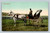Caleche horse-drawn carriage in Quebec Canada vintage postcard