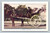 Horse-drawn carriage in Quebec Canada vintage postcard by Lorenzo Audet