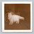 white persian cat in home