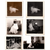 Montage of white cat possibly persian cat photos