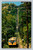 The incline up Lookout Mountain steepest cable incline Chattanooga Tennessee postcard