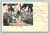 Bullock Hackery and Ricksha in Colombo Ceylon postcard