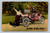 couple in pink car hit pedestrian couple
