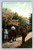 A Wayside Flirtation rural Canada postcard by Stedman Bros