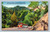 Smoky Mountain Trailways bus on highway through Great Smoky Mountains National Park