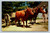 Devon steers pulling a village cart near the Blacksmith's house at Old Sturbridge Village, Mass.