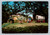 Horse drawn vehicles including spring wagon, road cart, mail delivery wagon, and covered wagon in Portland Oregon