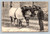 Basque man with oxen in Biarritz France vintage postcard