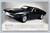 Mustang Milano grand touring car with hood air scoops and electric back window