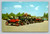 Antique Cars lined up before the start of an Antique Car Rally in Canada