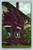 Bougainvillea Vine in San Francisco postcard by The O. Newman Company