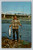 Steelhead fishing in the Russian River at Healdsburg California postcard