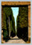 Villa Adriana with cypress avenue in Roma Italy postcard