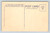 Buffalo American Bison West Texas 1934